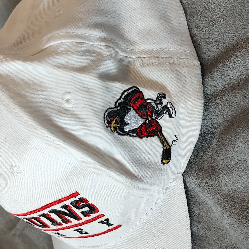 🏵️WBS Penguins Hockey Cap - Picture 2 of 5